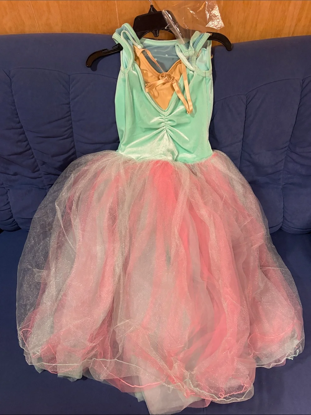 Mint & Pink Floral Tulle Dance Costume Dress - Kids